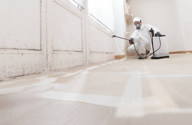 24/7 Emergency Mold Remediation experts in Riverton, IL