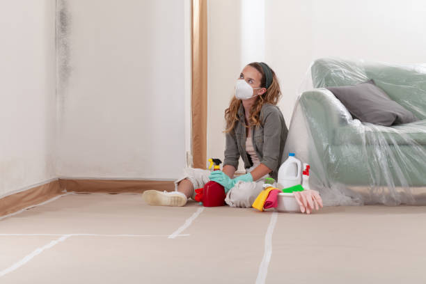 Reliable Mold Remediation contractor in Riverton, IL by WQB Mold Removal